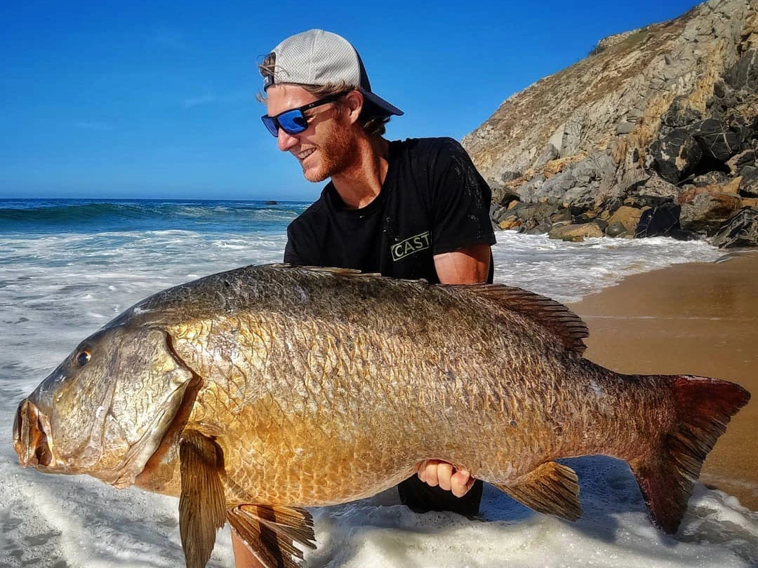 Central America AGL Distributors