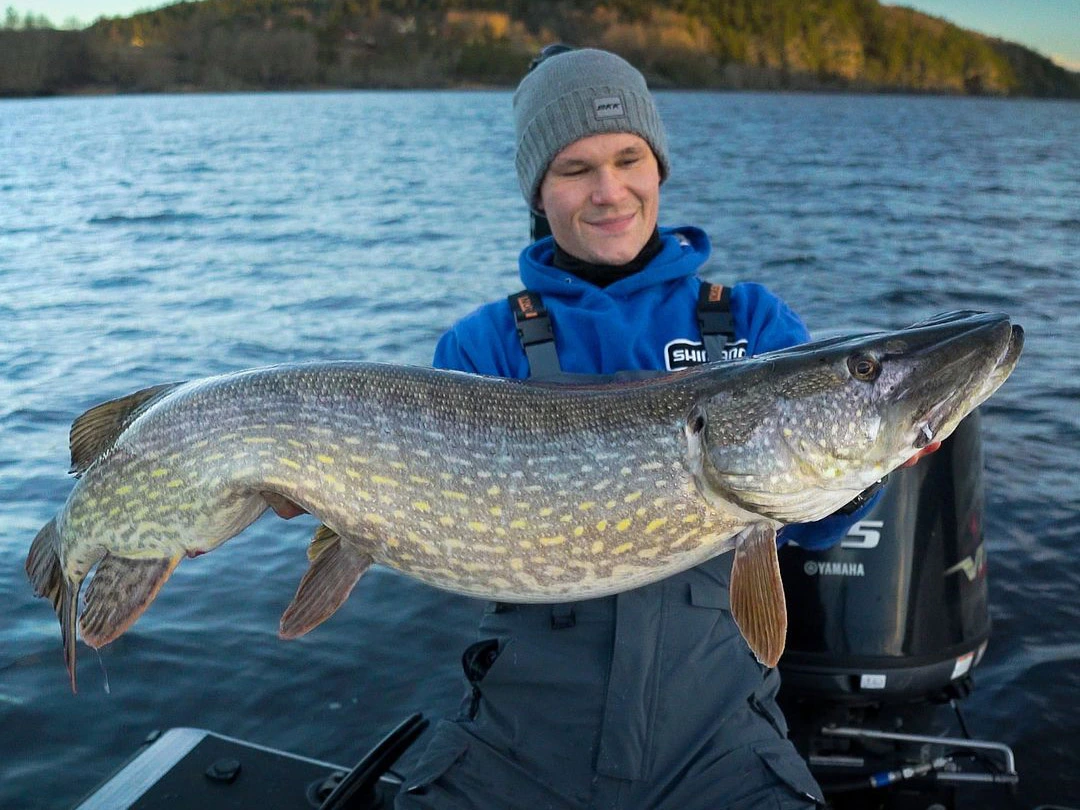 Europe AGL Distributors