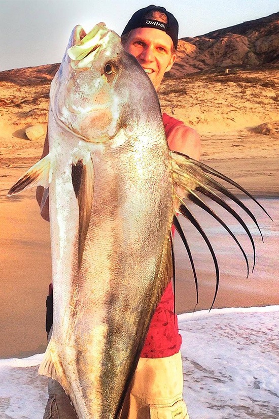 Image of the carop continental product