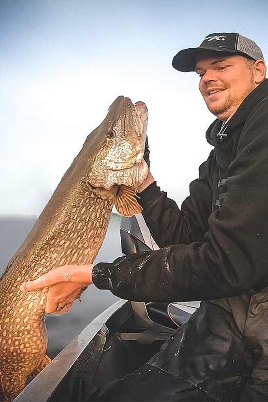 Image of the carop continental product