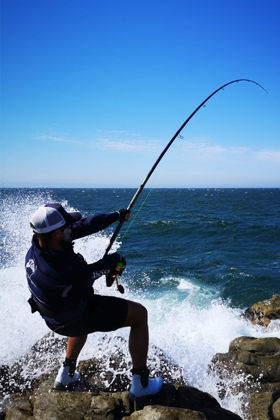 Image of the carop continental product