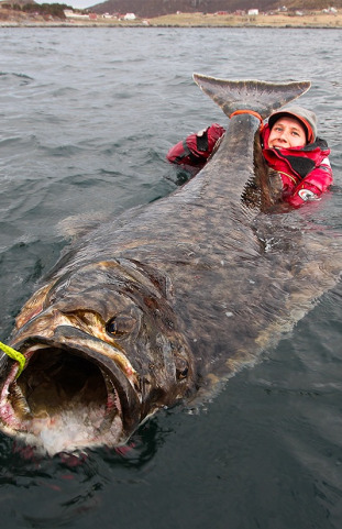 Erik Axner - Athletes