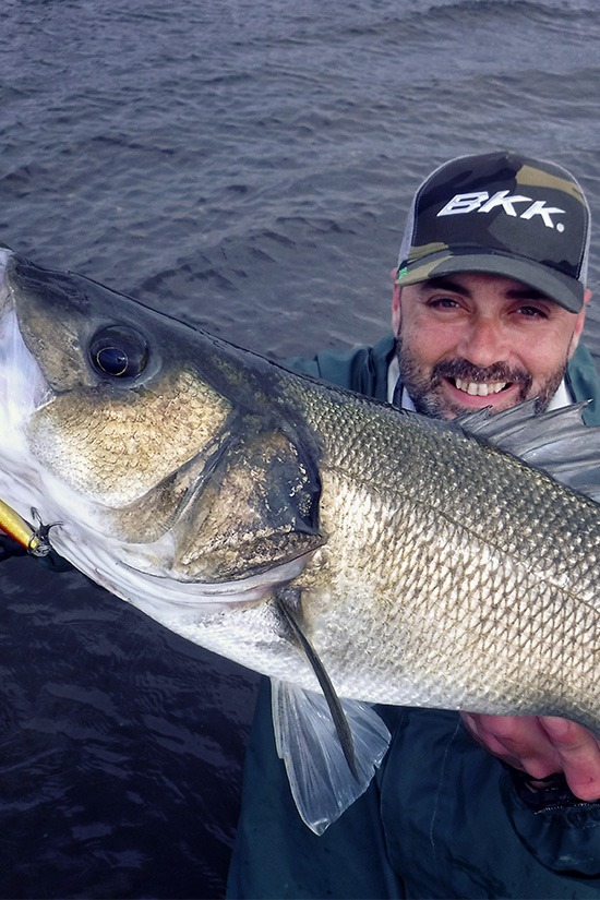 Image of the carop continental product