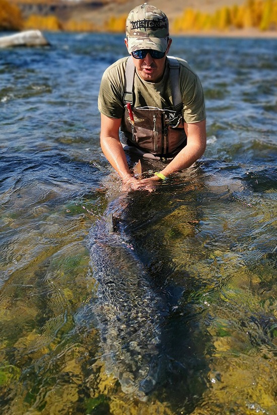 Image of the carop continental product