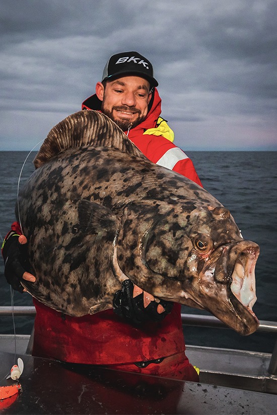 Image of the carop continental product