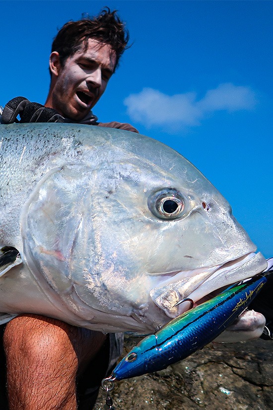 Image of the carop continental product