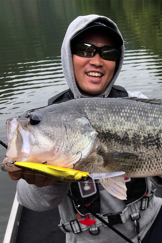 Image of the carop continental product