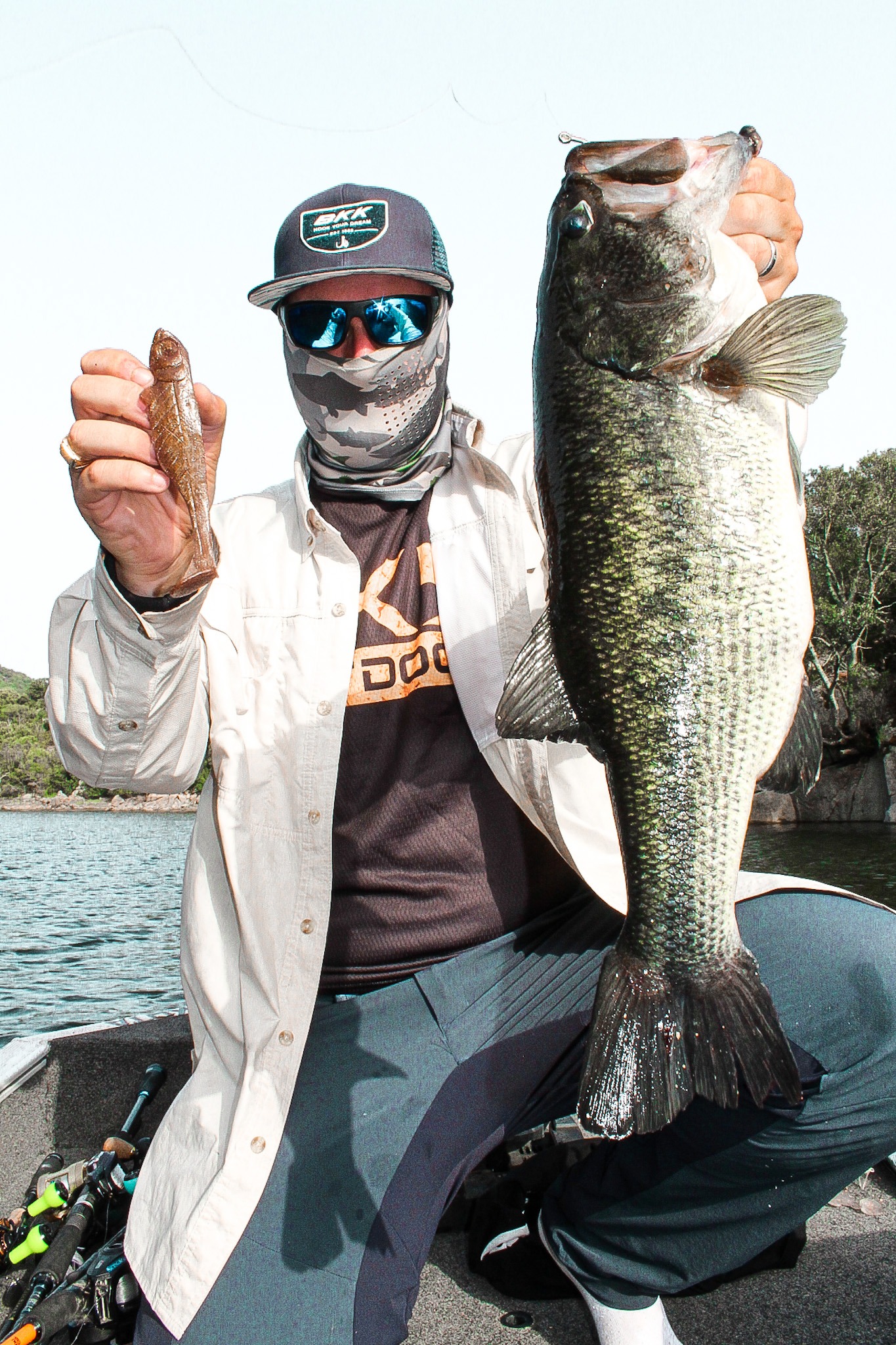 Image of the carop continental product