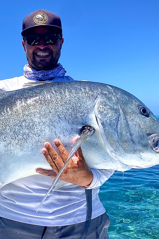 Image of the carop continental product