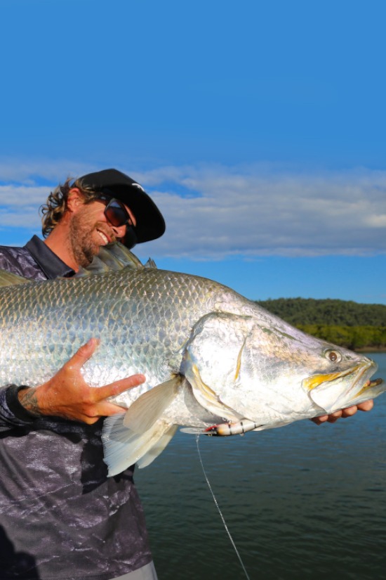 Image of the carop continental product