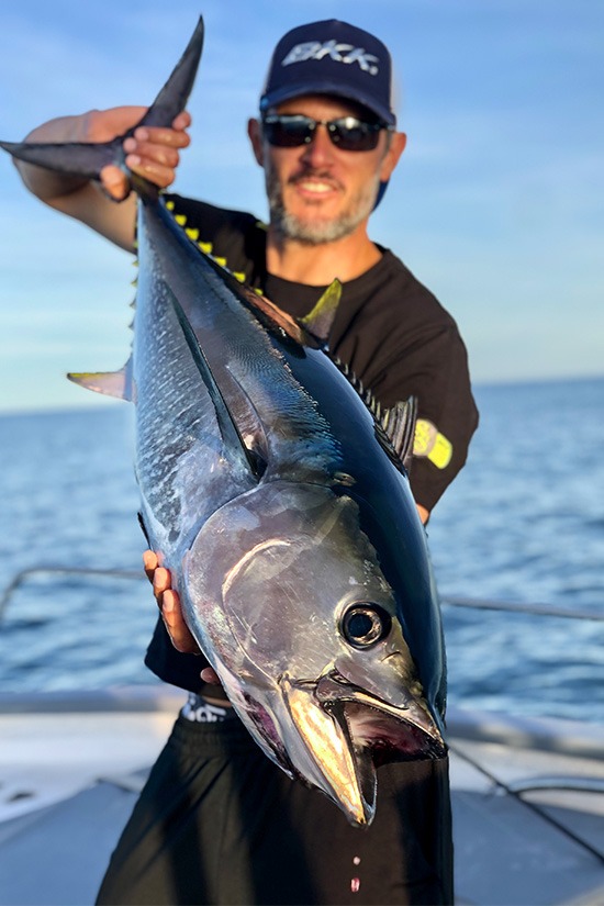 Image of the carop continental product