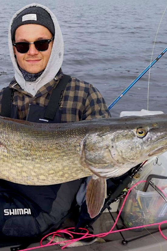 Image of the carop continental product