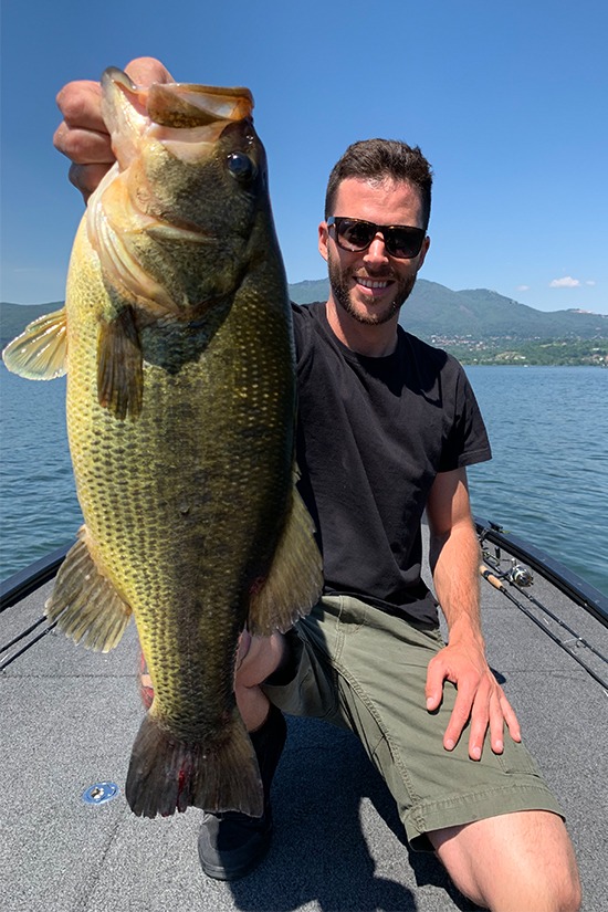 Image of the carop continental product