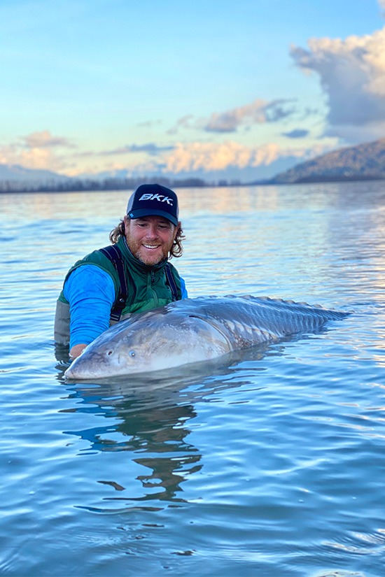 Image of the carop continental product