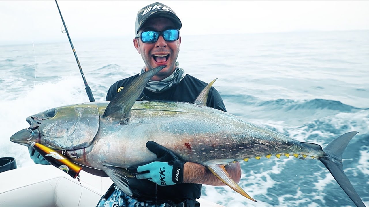 Raptor X Youtube video cover