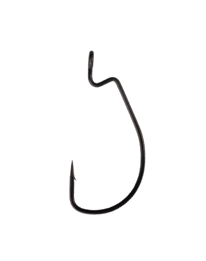 OFFSET WORM EWG CHEBU